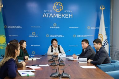 Әлеуметтік кәсіпкерлерді қолдау мәселелері