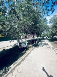 ТАЗА ҚАЗАҚСТАН