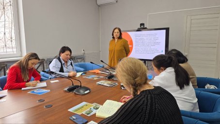 Стрессіз делегирование