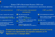 ​Қалалар мен аудандар мәслихаттары Ұлытау облысы кәсіпкерлер палатасының бастамасын қолдады
